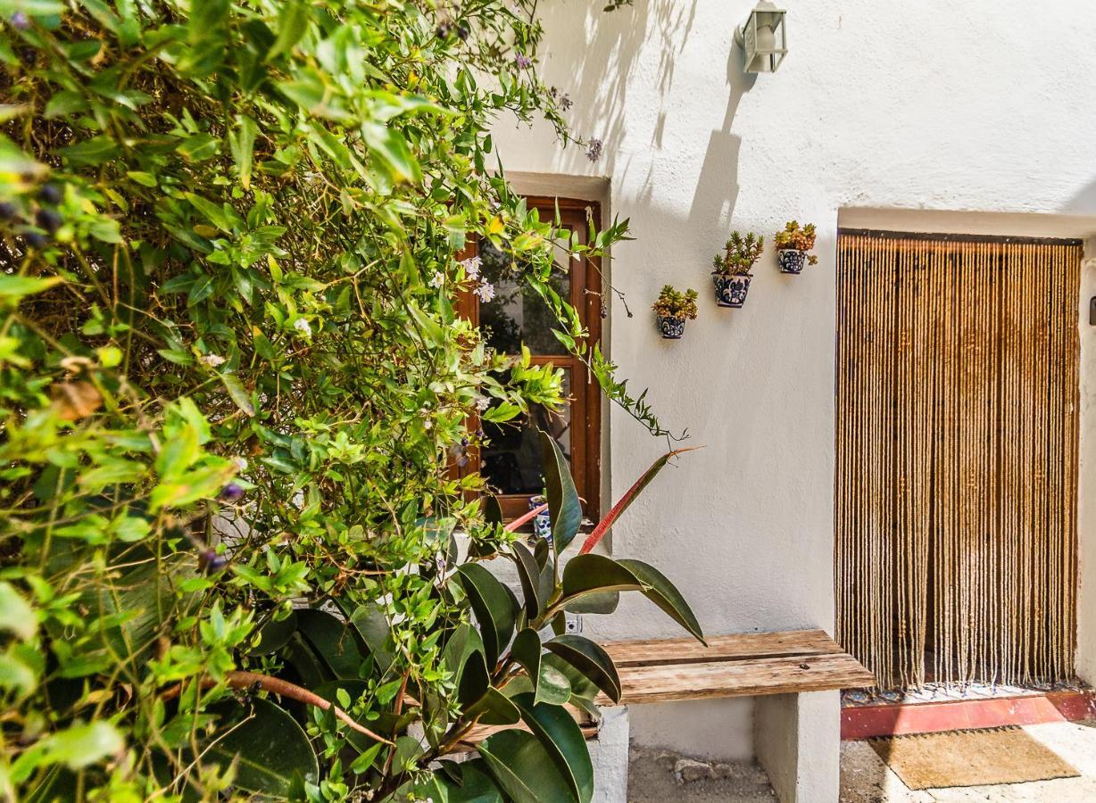 Casa Mundo - 16Th Century Traditional White Village House With Pool Пинос-дель-Валье Экстерьер фото